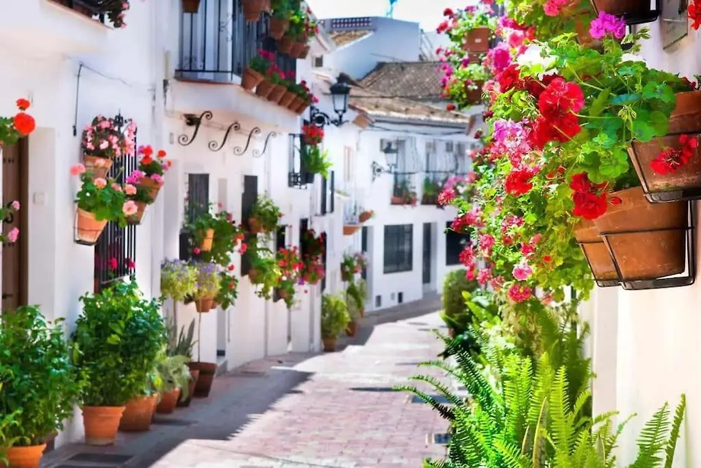 Corintolimon Luxury Studio Benalmadena Spain